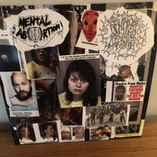 Rippers & Diddlers split songs