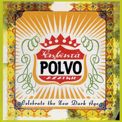 Every Holy Shroud by Polvo