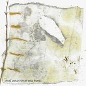 Piss Frond (Disc 2)