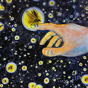 Jewels on Fireflies