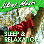 Sleep & Relaxation (Relaxing Music to Help You Sleep)