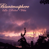 bluntmosphere