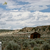 Universal Cosmic Transmission