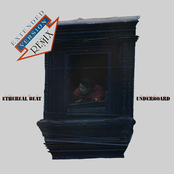 Underboard (Remix) / Cedar of Lebanon