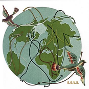 S.E.V.A.