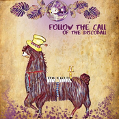 Follow The Call Of The Discoball