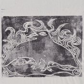 susu laroche - PARIDAIZA (XQU016)