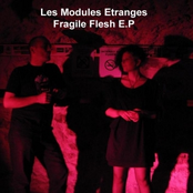 Fragile Flesh E.P