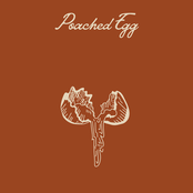 The Namby Pamby: Poached Egg