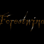 forestwind