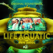 the life aquatic with steve zissou