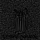 Meaningless Thinking Less