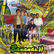 Bananas Ii