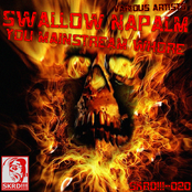 V.A. - Swallow Napalm You Mainstream Whore