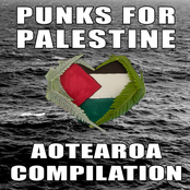 Punks For Palestine - Aotearoa Compilation