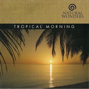 Natural Wonders: Tropical Morning