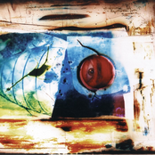 The Fine Art Of Original Sin (TRUST Edition)