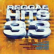 Reggae Hits Vol. 33