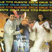 Mi Desesperacion by Celia Cruz