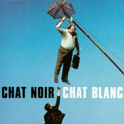 Bo Chat Noir Chat Blanc