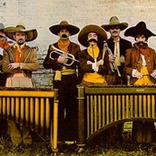 julius wechter and the baja marimba band