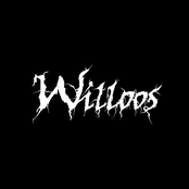 Willoos