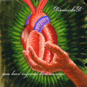 Your Heart Engraved These Messages