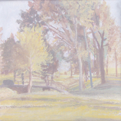 Cross Country State Champs