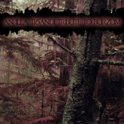 Illa Tiðandi (Tribute) (CD1)
