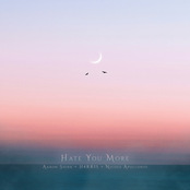 Hate You More