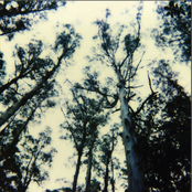 The Frightening Lights