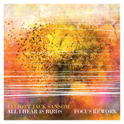 All I Hear Is Birds (Focus Rework)