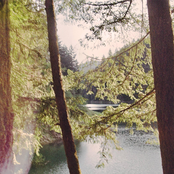 something i could cling to - Single