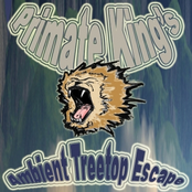 Primate King's Ambient Treetop Escape