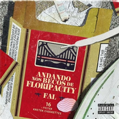 Andando nos Becos de Floripa City