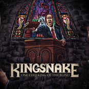 Kingsnake: One Eyed King of the Blind