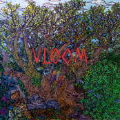 VLOOM