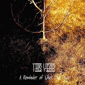 A Reminder of What You Love