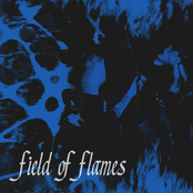 Intro / State of Regression