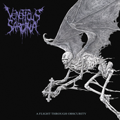 A Flight Through Obscurity