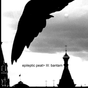 The Subeliptical Series {III: Bantam}