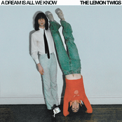 The Lemon Twigs - A Dream is All We Know Artwork