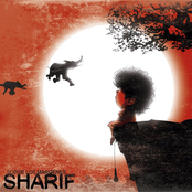 Martes Trece by Sharif