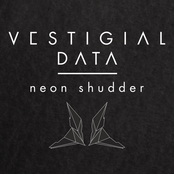Vestigial Data