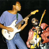 robert cray with albert collins