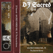 Sacred Mixes Vol. VI The Sacred Grove