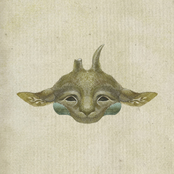 Bird cage blue and yellow