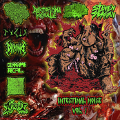 Intestinal Noise Vol. 1