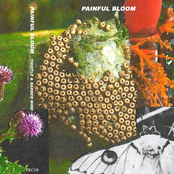 Thistle And Barbed Wire