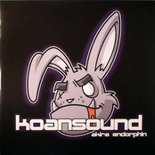 Endorphin by Koan Sound